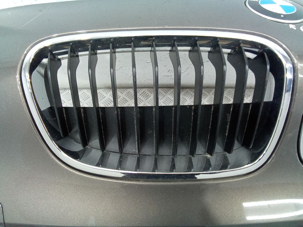 Решетка радиатора к BMW 1 серии 7324390, 2013, купить | DT-2_65288. Фото #1
